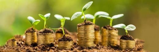 money growth fotolia searchsitetablet 520X173